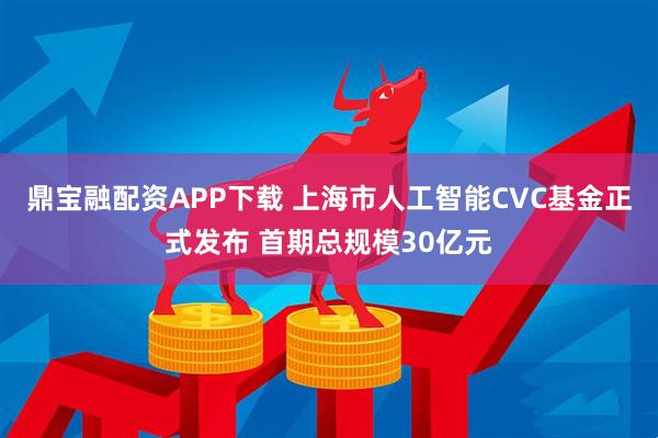 鼎宝融配资APP下载 上海市人工智能CVC基金正式发布 首期总规模30亿元