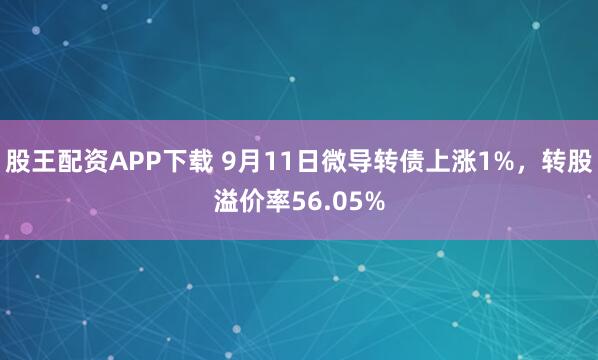 股王配资APP下载 9月11日微导转债上涨1%，转股溢价率56.05%