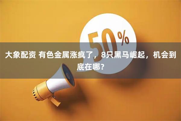 大象配资 有色金属涨疯了，8只黑马崛起，机会到底在哪？